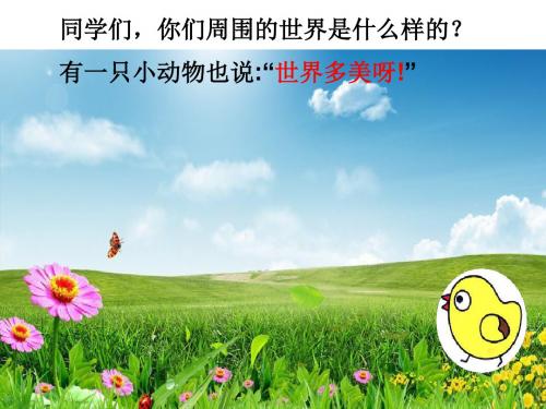 2019新版一年级下册-4世界多美呀-课件