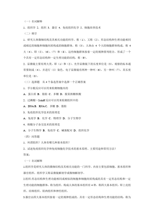 组织学绪论