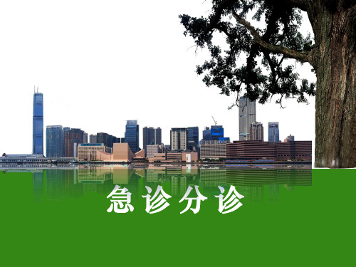 急诊分诊1精ppt课件