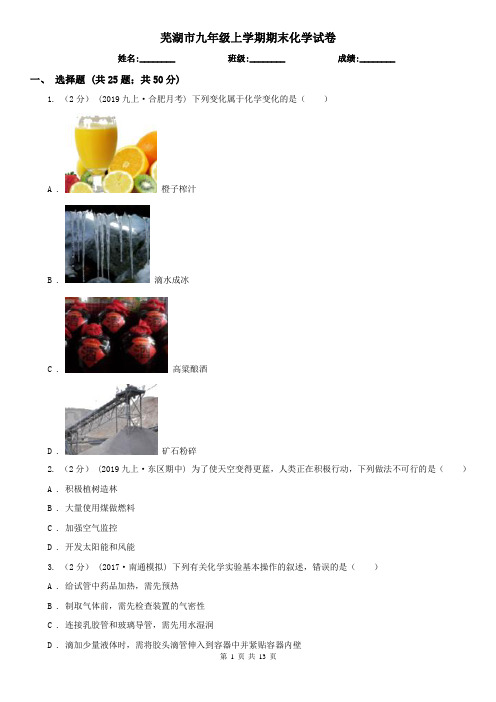 芜湖市九年级上学期期末化学试卷
