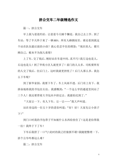 挤公交车二年级精选作文