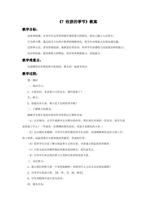《7 收获的季节》教案