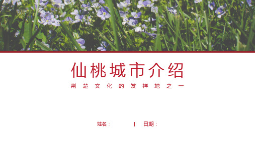 仙桃介绍-仙桃简介PPT(经典版)