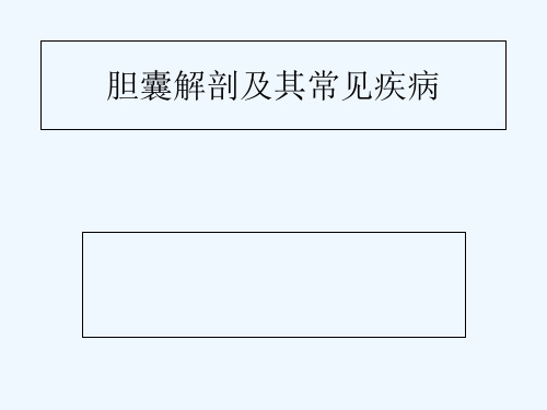 胆囊 PPT
