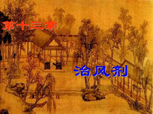 13治风剂