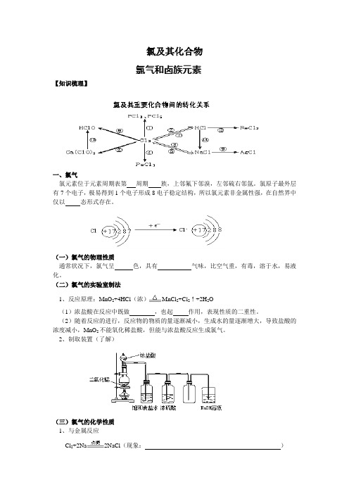 氯及卤素