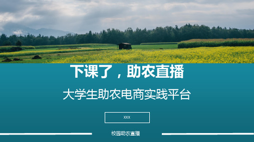 互联网+大学生创新创业助农直播电商实践平台商业计划书精选全文