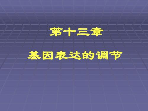 第十三章基因表达的调节基因表达调节的基本概念及原理原核