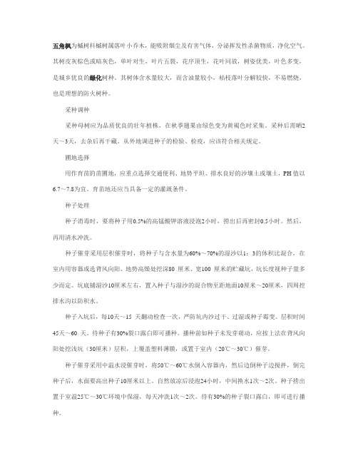 五角枫