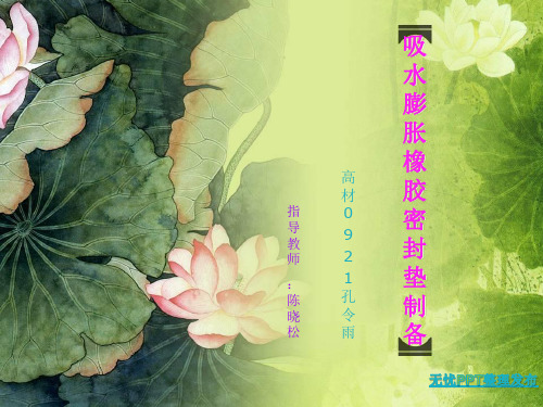 EPDM吸水膨胀橡胶密封垫-1