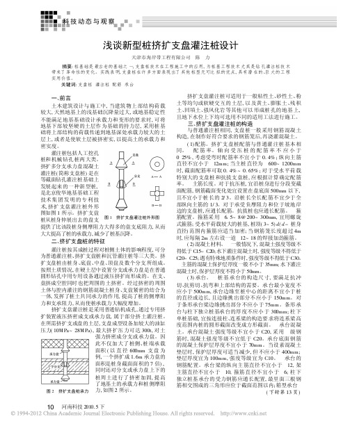 浅谈新型桩挤扩支盘灌注桩设计(精)