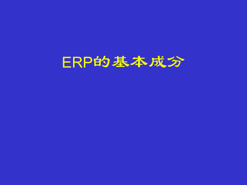 ERP基本成分..