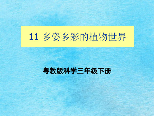 三年级下册科学-《11 多姿多彩的植物世界》｜粤科版 ppt课件