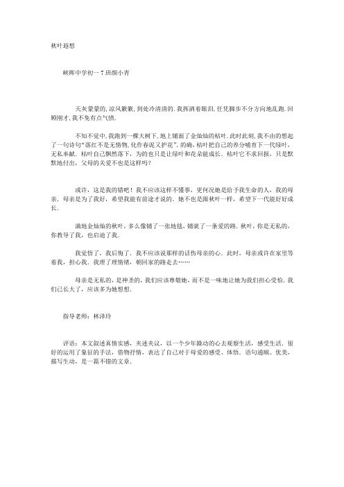 秋叶遐想