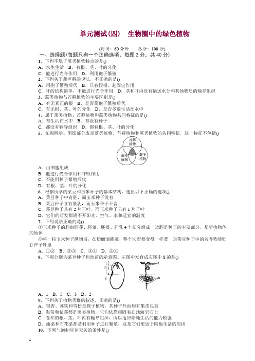 人教版七年级生物上册05单元测试(四) 生物圈中的绿色植物 试题及答案.doc