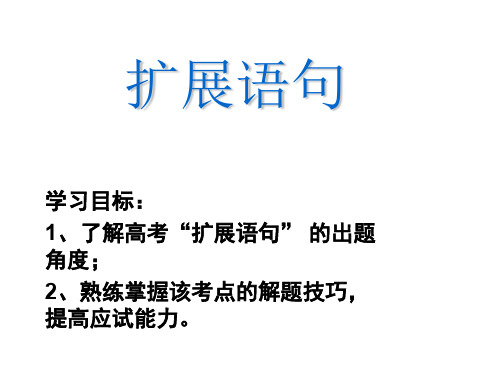 2019高三语文复习扩展语句精选课件PPT