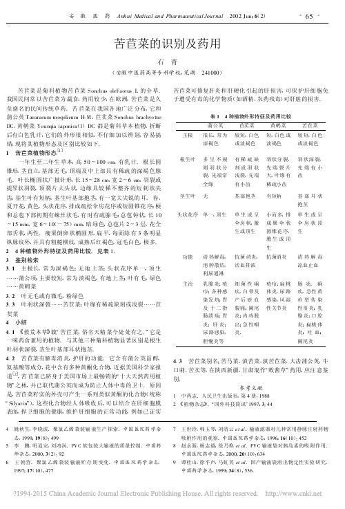 苦苣菜的识别及药用_石青