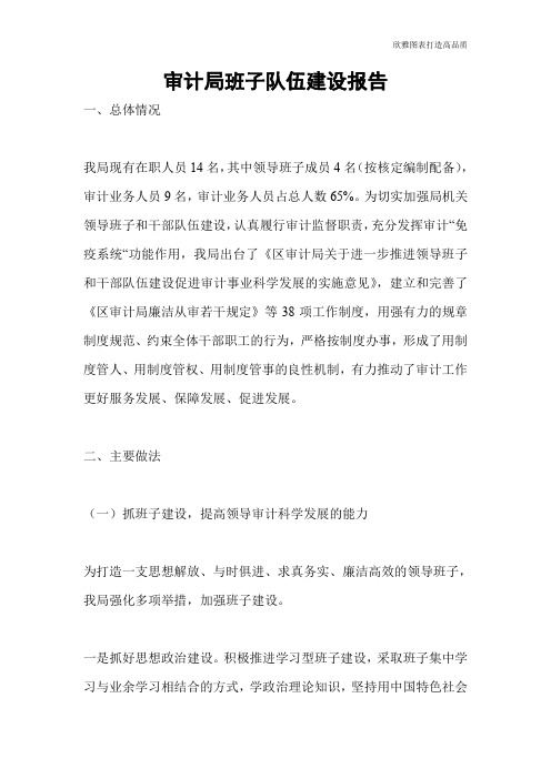 审计局班子队伍建设报告
