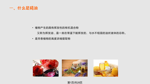 精细化学品——精油的生产工艺过程PPT课件