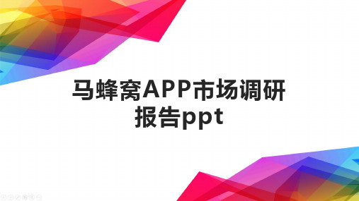 马蜂窝APP市场调研报告ppt