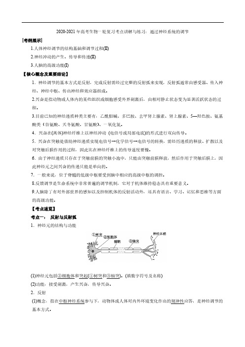 高考生物一轮复习考点讲解与练习上通过神经系统的调节pdf含解析20200916154