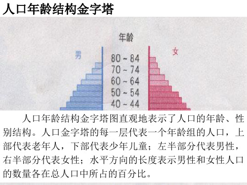 人口年龄结构金字塔