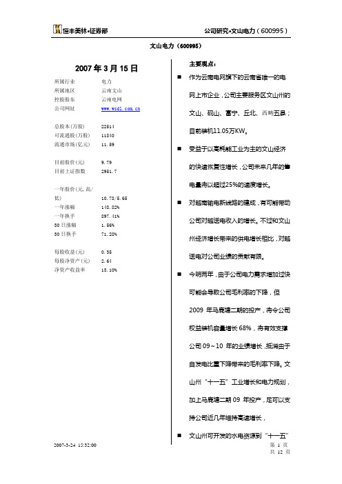 文山电力