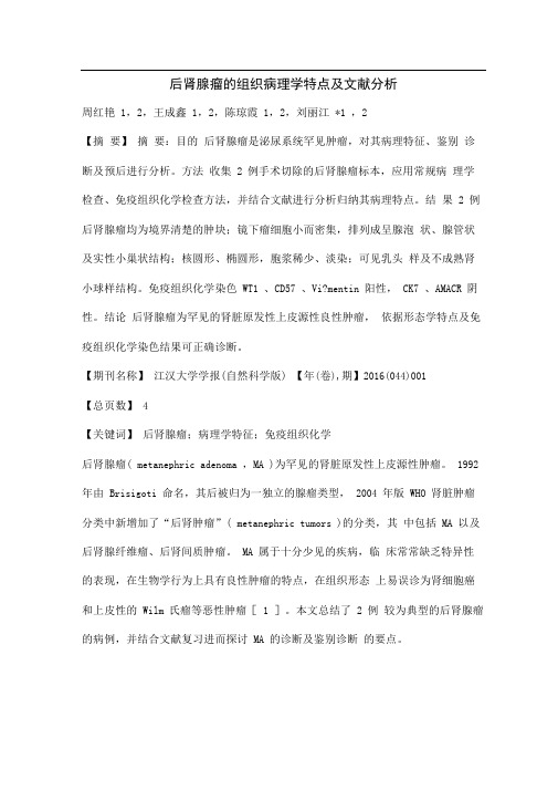 后肾腺瘤的组织病理学特点及文献分析