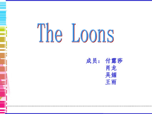 分析讲解the_loons-文档资料
