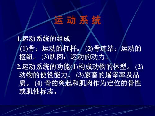 畜禽解剖学——运动系统