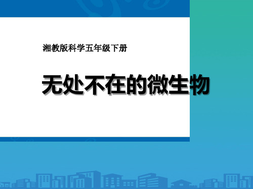 《无处不在的微生物》PPT