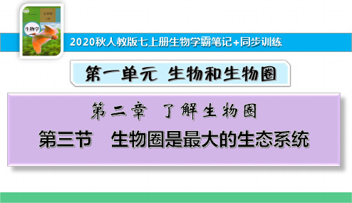 七上册生物学霸笔记+同步训练1.2.3生物圈是最大的生态系统