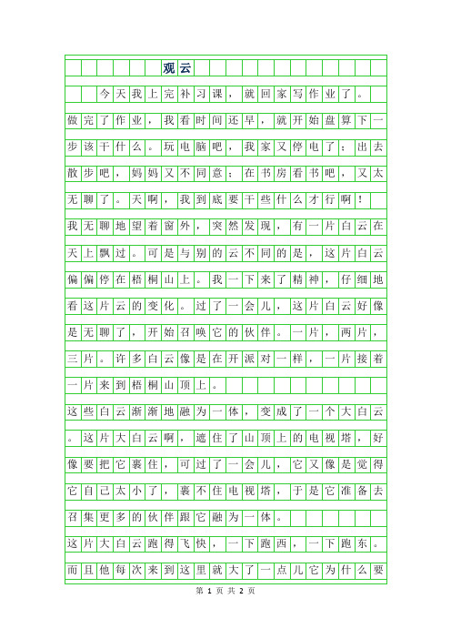 2019年观云300字作文