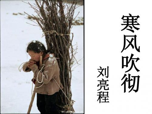 寒风吹彻