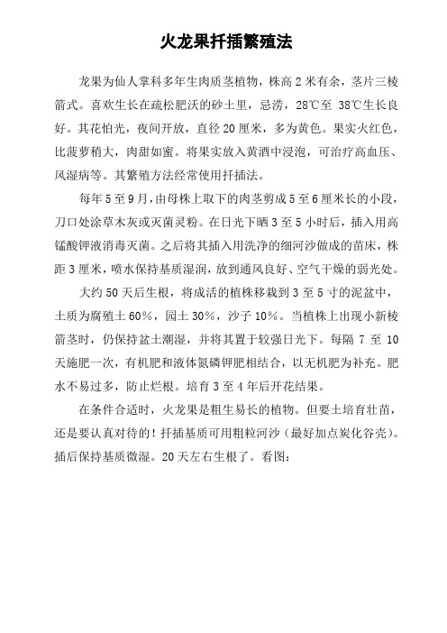 火龙果扦插繁殖法