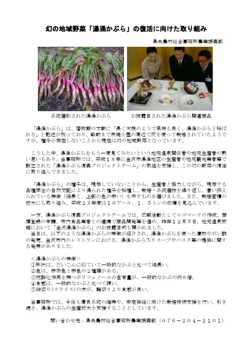 幻の地域野菜「汤涌かぶら」の复活に向けた取り组み