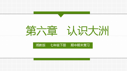 第六章 认识大洲(复习课件)-2022-2023学年七年级地理下学期期中期末考点大串讲(湘教版)