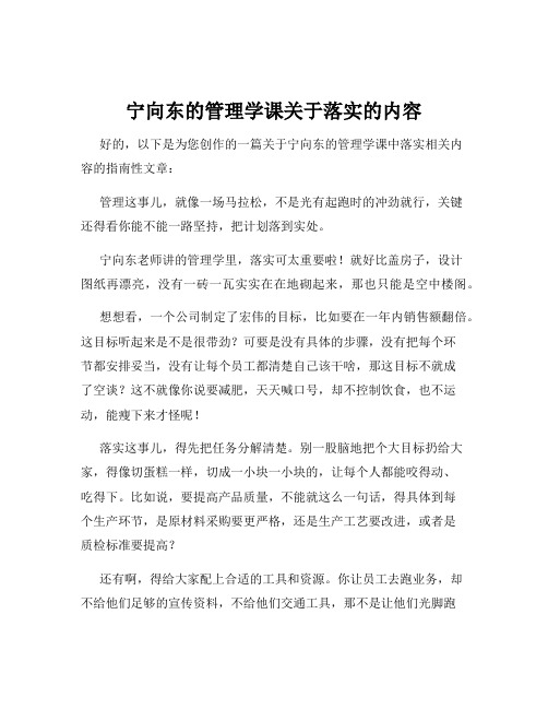 宁向东的管理学课关于落实的内容