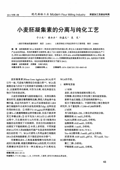 小麦胚凝集素的分离与纯化工艺