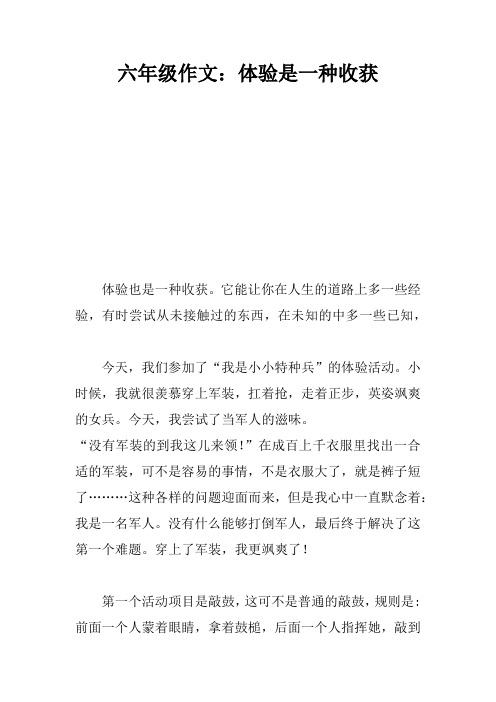 六年级作文：体验是一种收获