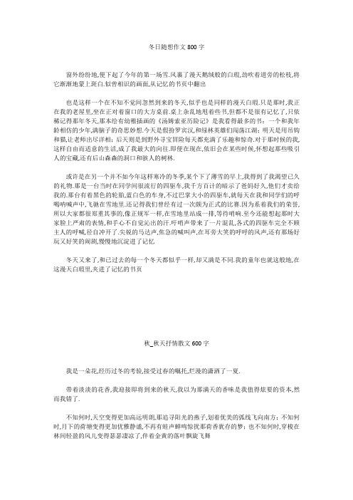 高中作文：冬日随想作文800字