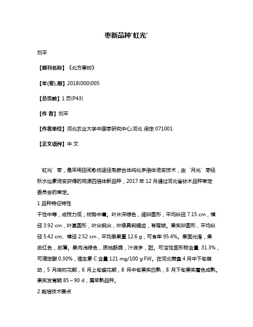 枣新品种'虹光'