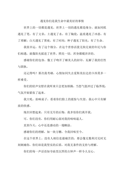 遇见你们是我生命中最美好的事情--作文