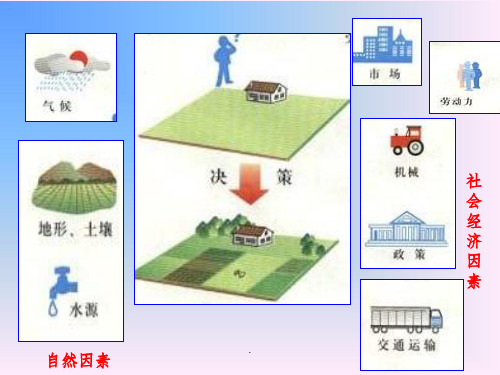 农业区位因素与地域类型ppt课件