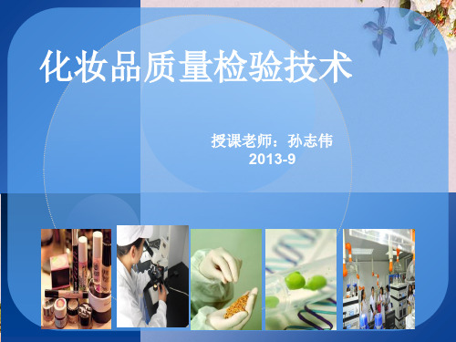 化妆品技术法规及行业标准(ppt 33页)