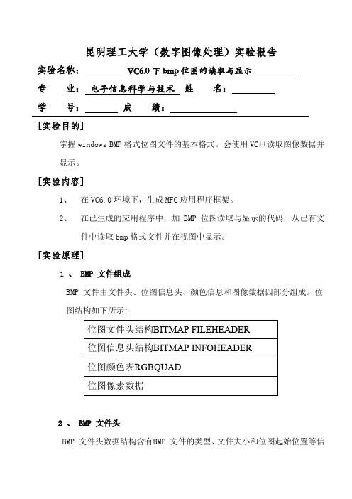 VC6.0下bmp位图的读取与显示