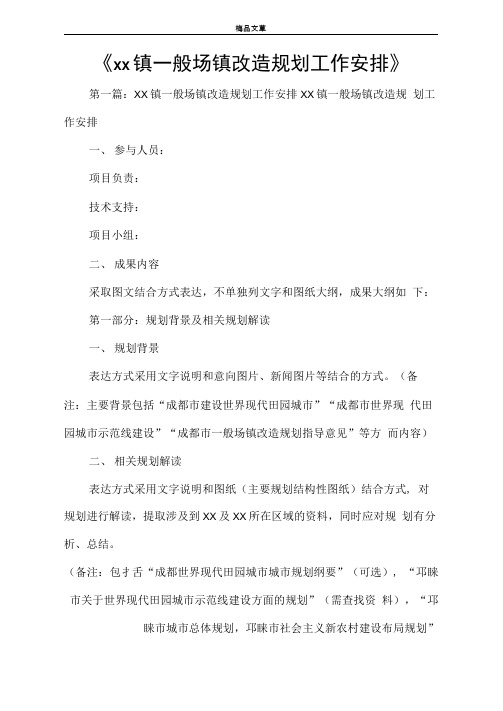 《XXX镇一般场镇改造规划工作安排》