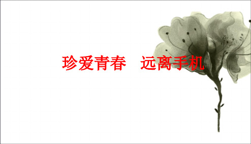 2018年最新中小学主题班会设计课件：手机、网络主题班会-小初高中学主题班会