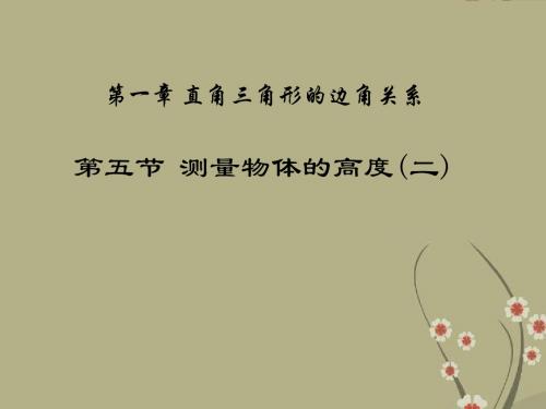 九年级数学下册 第一章 第五节 测量物体的高度课件(2) 北师大版