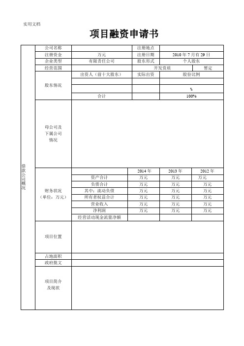 融资计划表样板(按照这个填写)